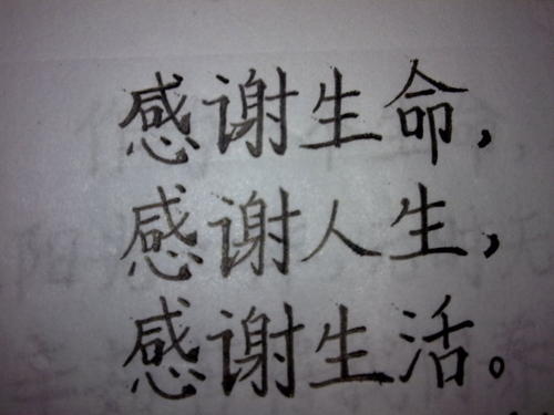 谢谢你的一生_700字