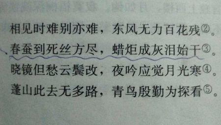 Untitled_450个字