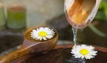 人生的五种境界_1000字