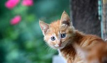 今年春天我很幸福