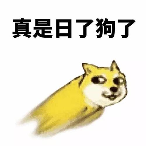 不用考虑，慢慢来_1200字