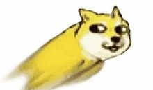 别瞎想，慢慢煎熬吧_1200字