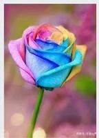 让生命之花绽放_800字