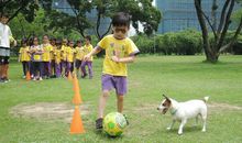 我最喜欢上的一堂课_450字