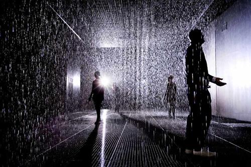 雨