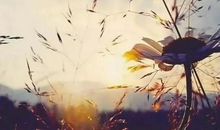 做人的骨气与底线_1500字