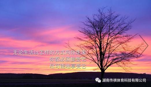 不要努力，为什么要年轻