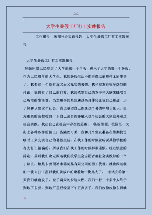 暑假工作实务报告（5）_3000字