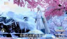 读《幻城》有感_1500字