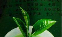 人生若如绿茶_450字