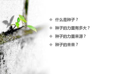 种子_250字的力量