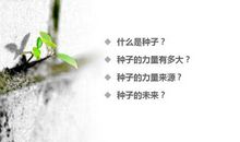 种子的力量_250字