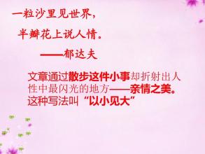 让无声的感情闪耀_900字
