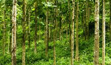 生活的恩赐_800字