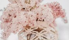 施舍的爱_1200字