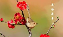 人从哪里来_1500字