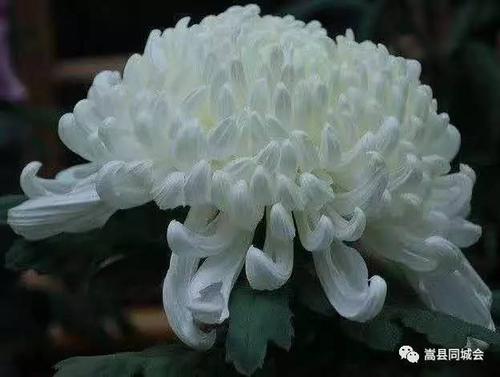 你在另一边，一直走
