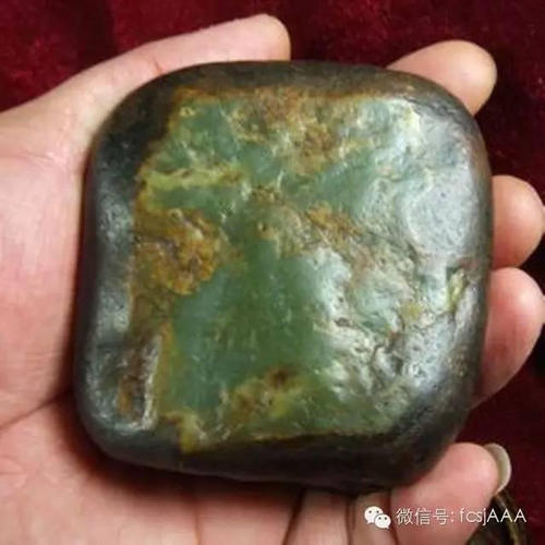 甲流英语作文：猪流感来了_1000字