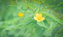 夏天夏天悄悄过去（下）_3000字