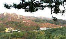 那份浩瀚的友谊