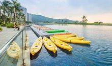 新海洋公园搬来平湖了_650字