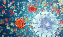 甲流英语作文：Swine Flu_800字