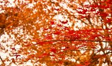 守望，我心一片净土