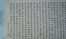 浅吟低唱《琵琶行》_700字