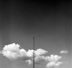 希望和你一起飞翔,羽毛飞翔_1000字