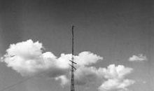 愿随你飞，羽化而飞仙_1000字