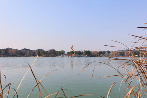 右荡湖公园_750字