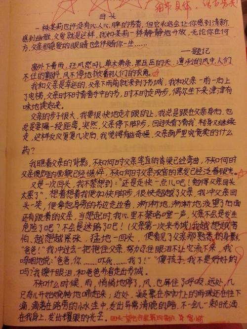 关于父亲的爱的组成