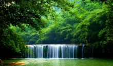 我们班的沈欣怡_550字