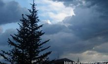 我的天堂我的水_650字