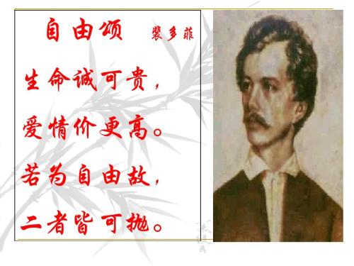 生命诚可贵