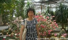 这一天怎么回事呀_650字