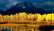 人生是一场独自的修行