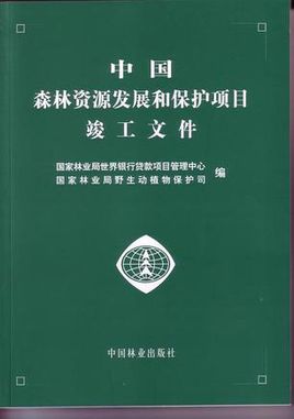 关于保护森林资源的建议