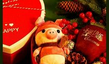 关于平安夜的作文：平安夜的礼物_500字