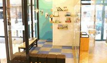 中午的快乐时光_550字