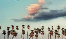 用心灵去看世界_1000字