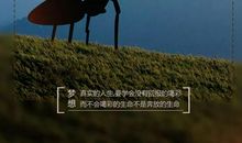 生命·自然·美_750字