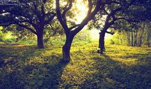 生命是如此伟大