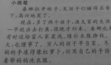 放飞心中的歌_450字