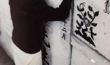 与三毛一起走过的日子