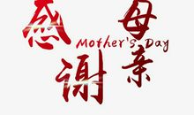 感谢母亲_1200字