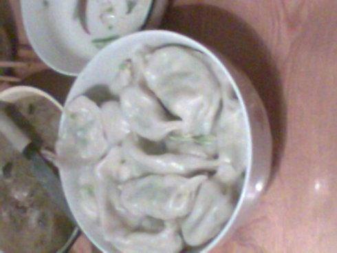 第一次做饺子_600字