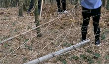 为妈妈耕耘幸福_900字