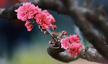 如果生命是暖风