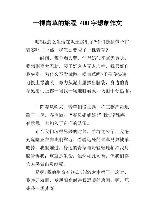 高中历程_400字